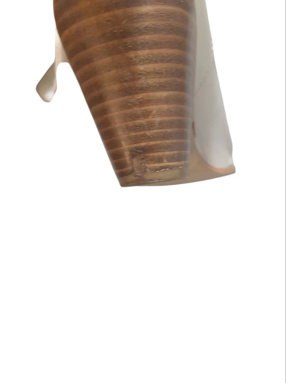 Bellini Cream Knee High Western Cowgirl Boots
